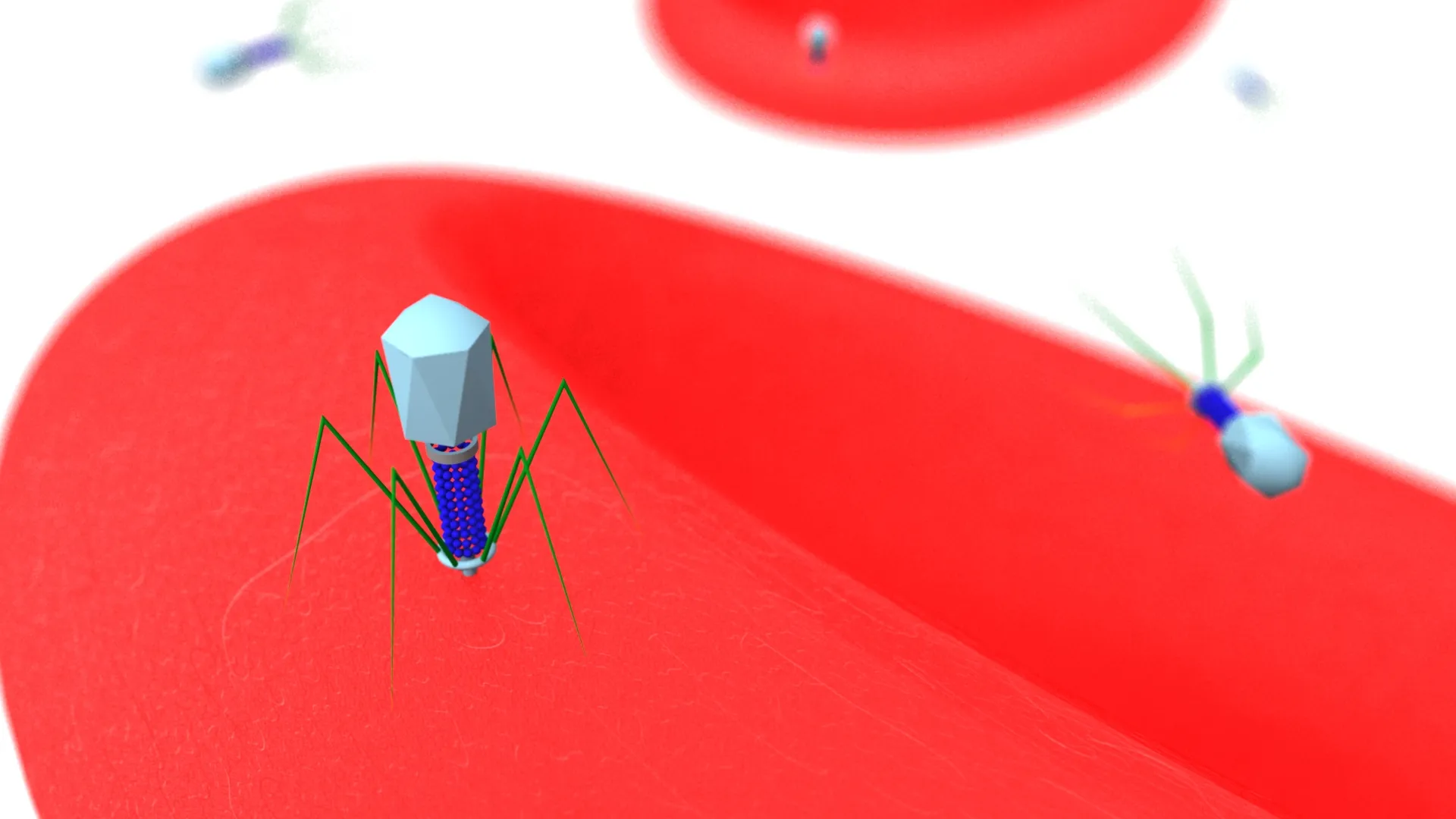 Virus