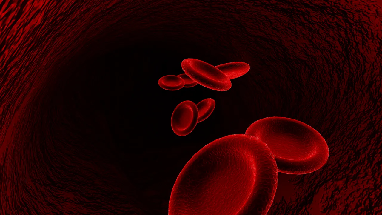 Blood Cells